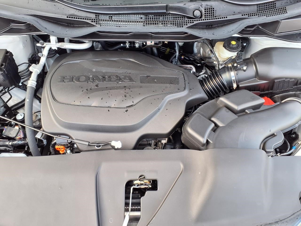 2026 Honda Odyssey Sport-L Auto