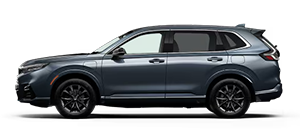 Bergstrom Honda in Oshkosh WI